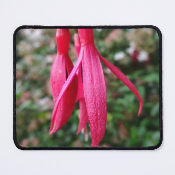 Item preview, Fuchsia. designed and sold by Stellagala.