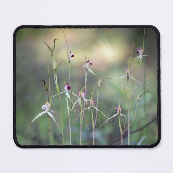 Item preview, Spider Orchids designed and sold by gwenthewren.