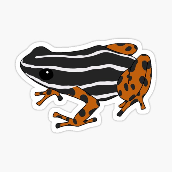 "Brazil Nut Poison Dart Frog" Sticker for Sale by taylorrowan Redbubble
