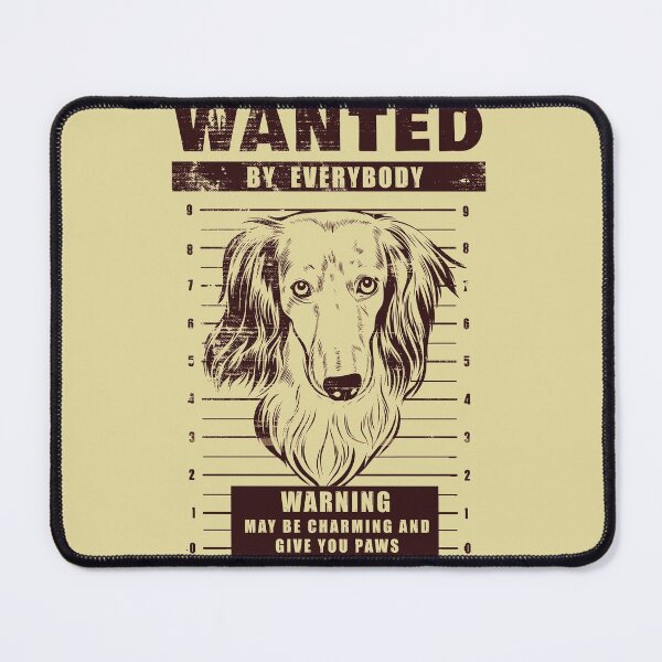 Item preview, Wanted Longhaired Dachshund - Imperial designed and sold by HappySchnapper.