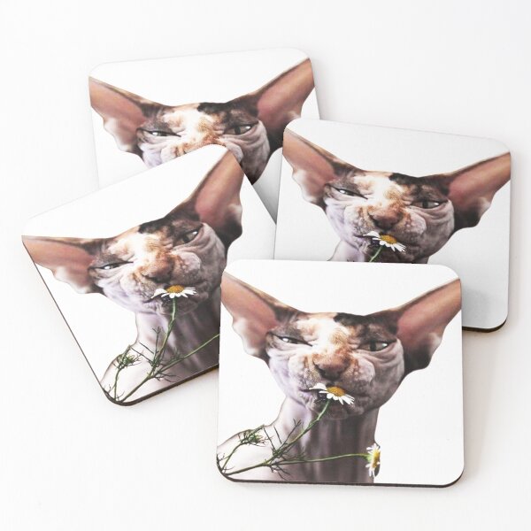 Item preview, Suspicious cat designed and sold by YStress.