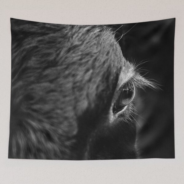 Item preview, I see I breathe I feel designed and sold by ImageEvolution.