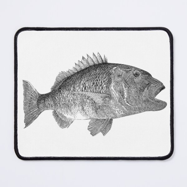 Item preview, Mussel Cracker designed and sold by Paul Kyriakides.