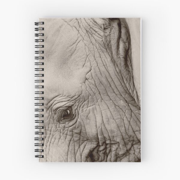 Item preview, Dignity designed and sold by ImageEvolution.