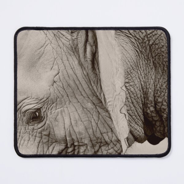 Item preview, Dignity designed and sold by ImageEvolution.