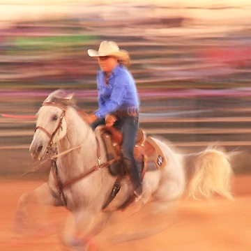 Artwork thumbnail, Rodeo Rider by Roupen BAKER