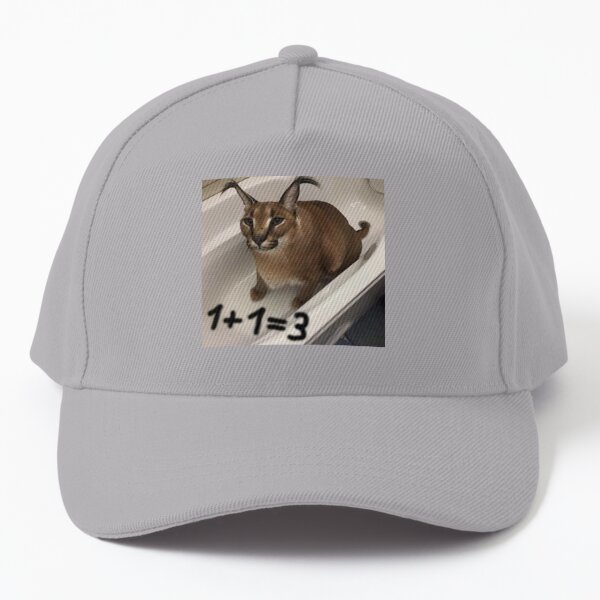 Hats Cap Memes, Men Baseball Cap Meme, Floppa Cat Meme