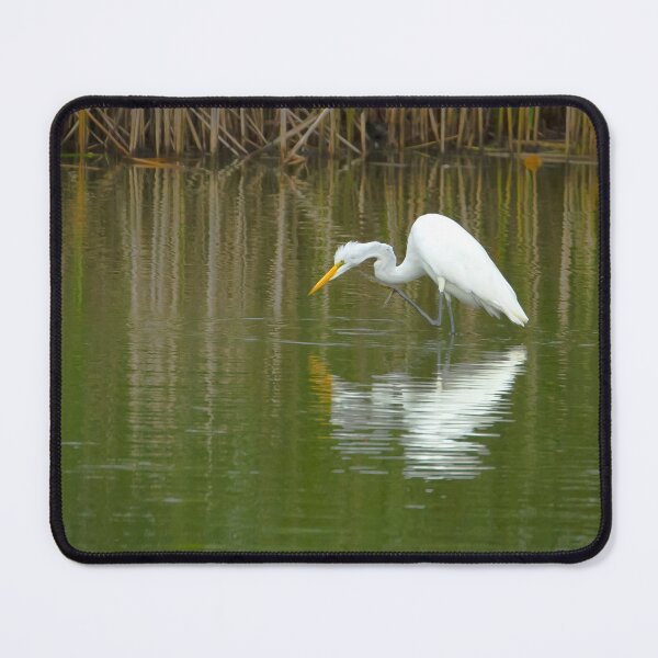 Item preview, Egret wading in a pond designed and sold by PaulKPhoto.