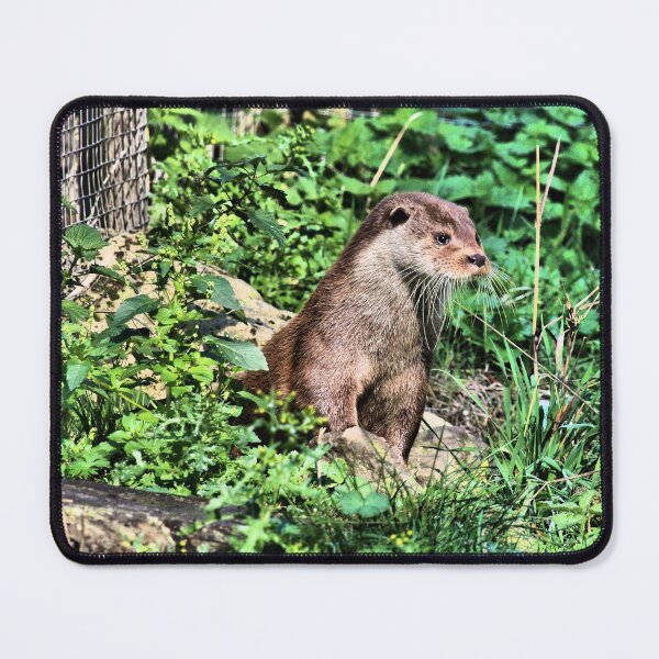 Item preview, Otter Lookout designed and sold by Fearless-Fox.