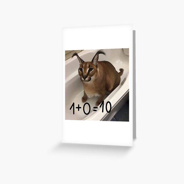 CHAD FLOPPA CAT \ CARACALS \  Sticker for Sale by Mad-Boy