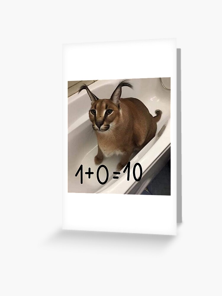 FLOPPA CAT \ CARACALS / GOOD AT MATH | Greeting Card