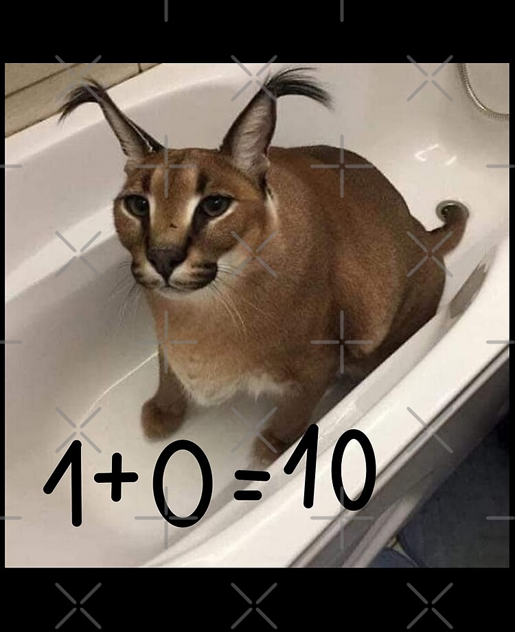 FLOPPA CAT \ CARACALS / GOOD AT MATH Art Board Print for Sale by Mad-Boy