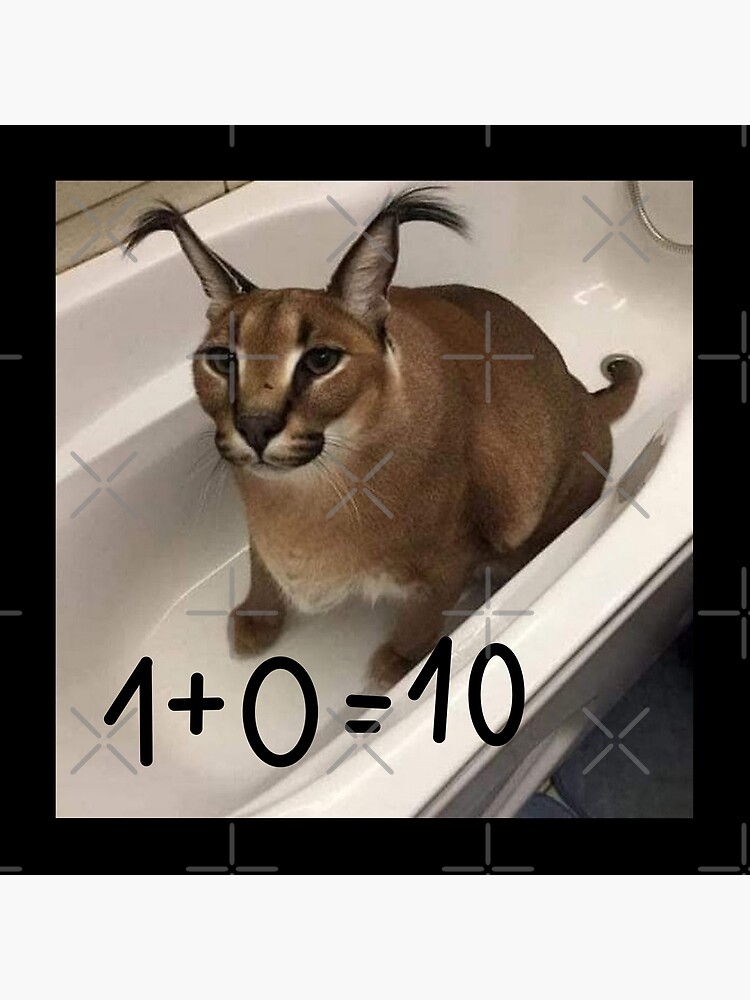 FLOPPA CAT \ CARACALS / GOOD AT MATH Art Board Print for Sale by Mad-Boy