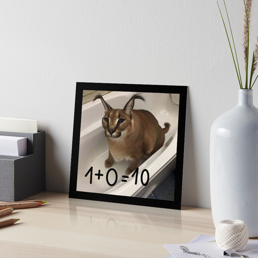 FLOPPA CAT \ CARACALS / GOOD AT MATH Art Board Print for Sale by Mad-Boy