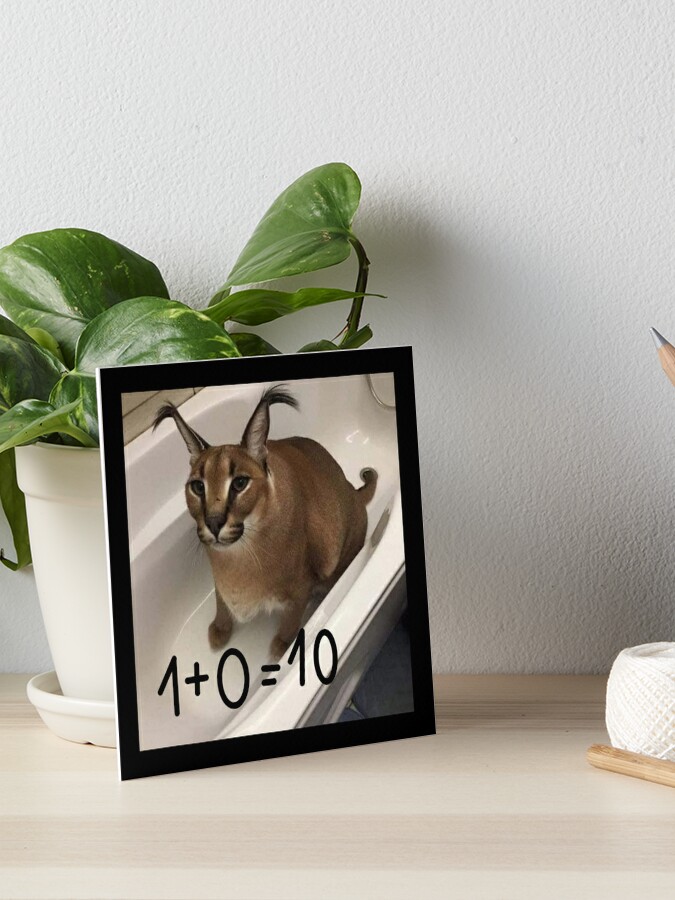 FLOPPA CAT \ CARACALS / GOOD AT MATH | Greeting Card