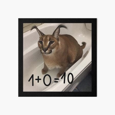 FLOPPA CAT \ CARACALS / GOOD AT MATH | Pin