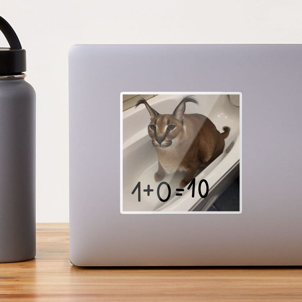 FLOPPA CAT \ CARACALS / GOOD AT MATH Art Board Print for Sale by Mad-Boy