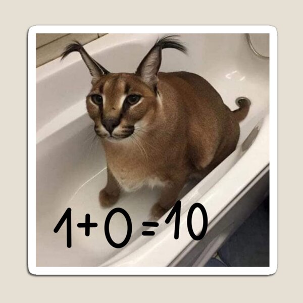 FLOPPA CAT \ CARACALS / GOOD AT MATH | Pin