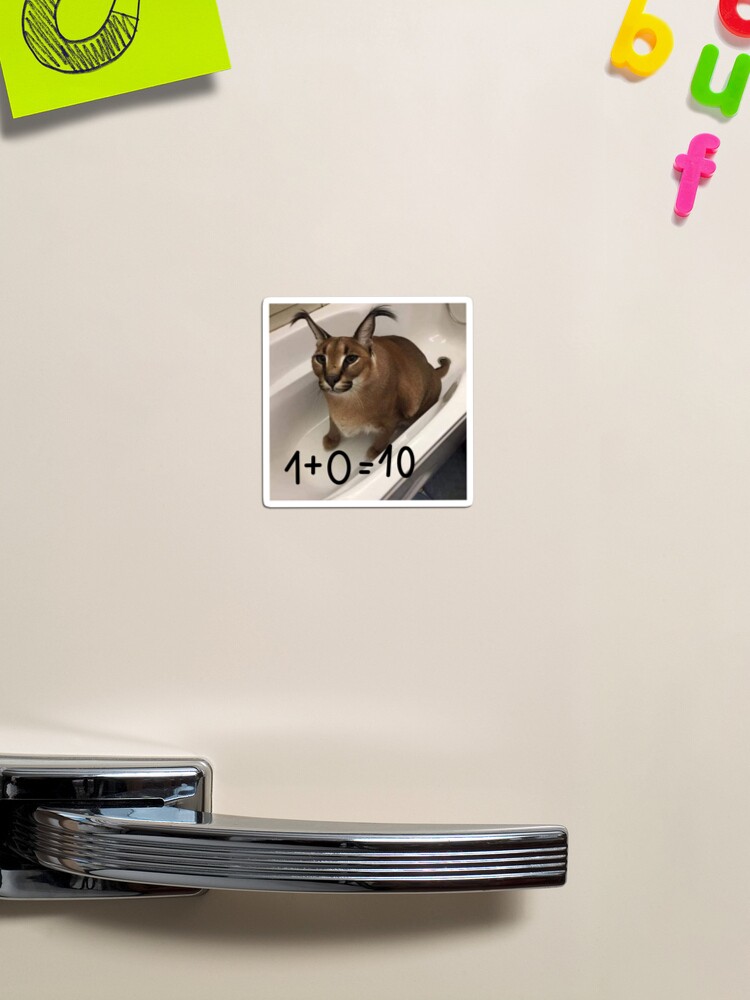 FLOPPA CAT \ CARACALS / GOOD AT MATH | Pin