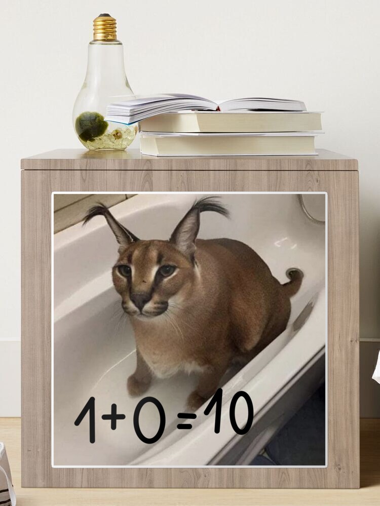 FLOPPA CAT \ CARACALS / GOOD AT MATH Art Board Print for Sale by Mad-Boy