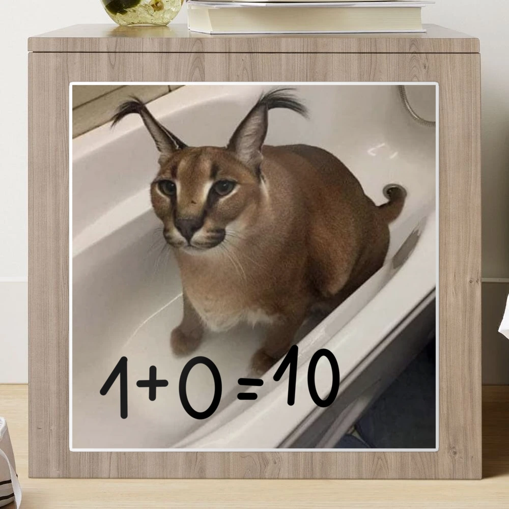 Almost forgot to post :0 #floppa #cat #caracal #floppafriday #meow #cu, caracal