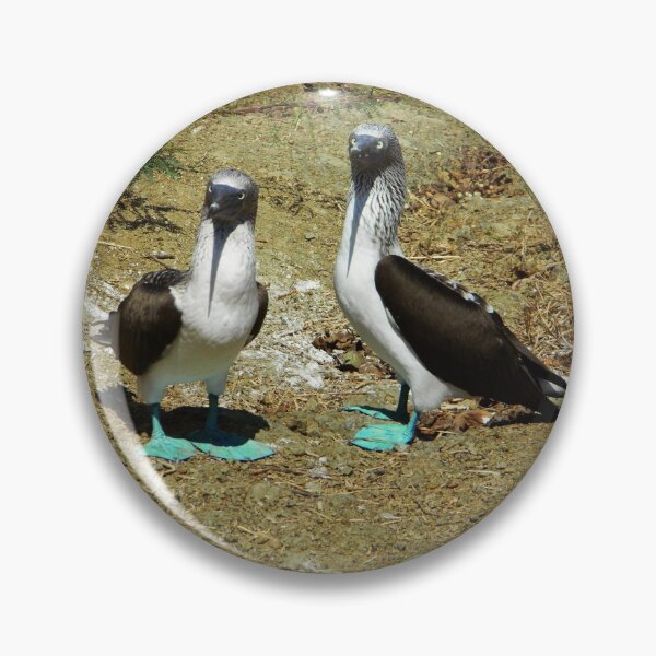 Item preview, Blue footed boobies designed and sold by Javier Narváez Solarte.