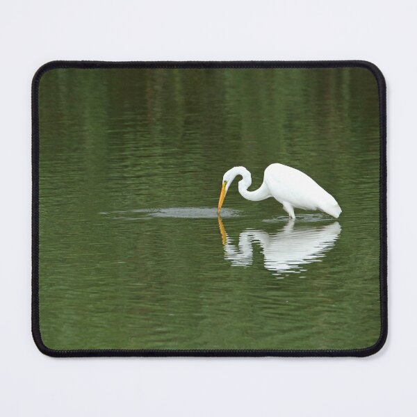 Item preview, Egret fishing in a pond designed and sold by PaulKPhoto.