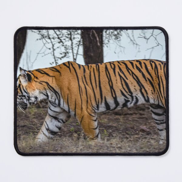 Item preview, Tiger on the prowl designed and sold by Pravine Chester.