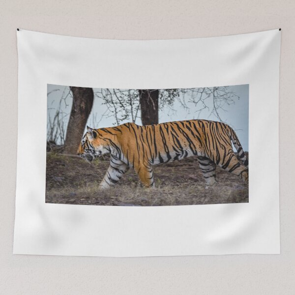 Item preview, Tiger on the prowl designed and sold by Pravine Chester.