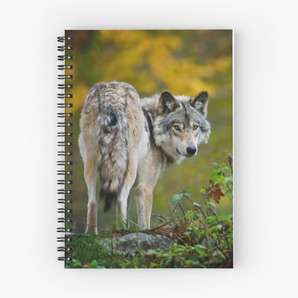 Item preview, Timber Wolf designed and sold by WolvesOnly.