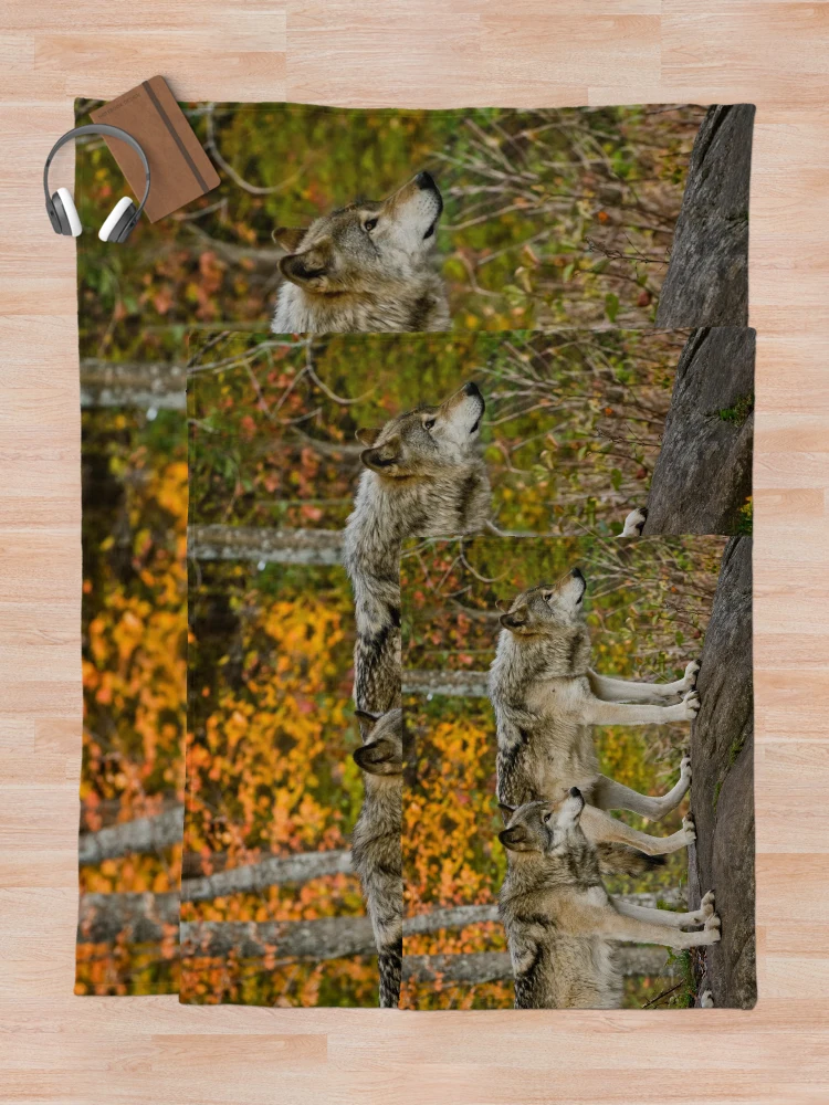 Thumbnail 5 of 6, Throw Blanket, Timber Wolves designed and sold by WolvesOnly.