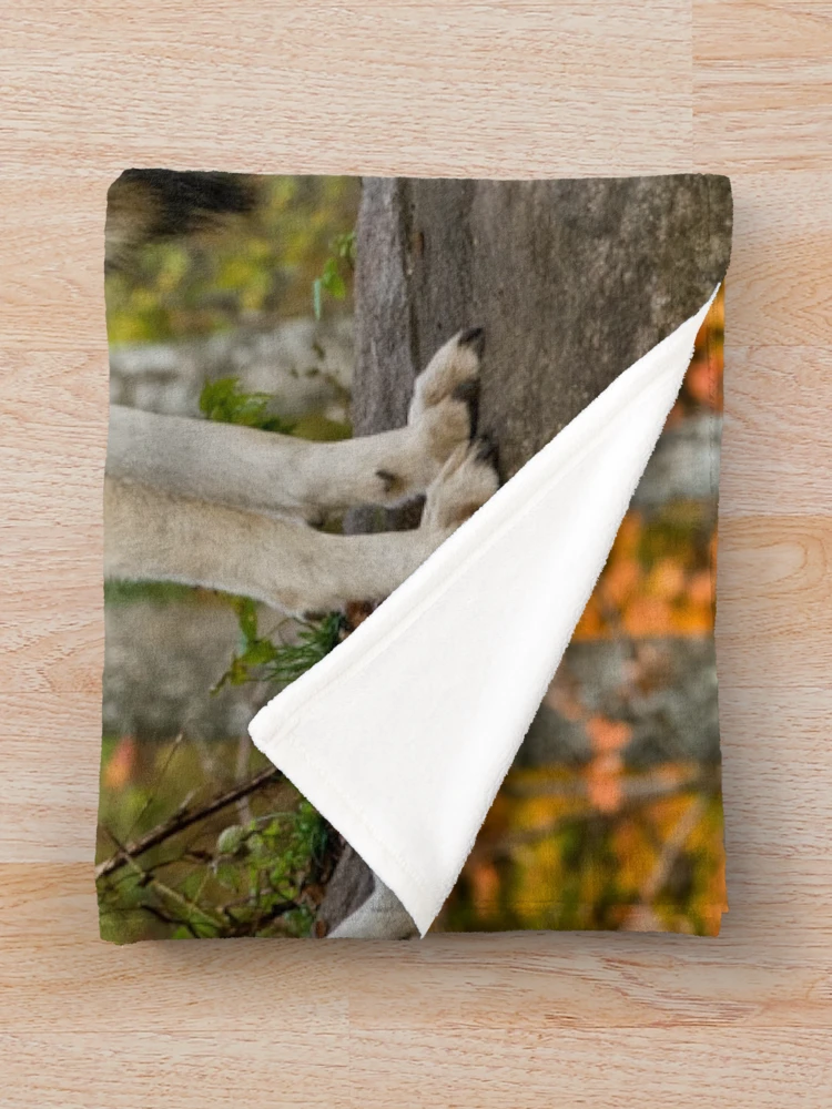 Thumbnail 3 of 6, Throw Blanket, Timber Wolves designed and sold by WolvesOnly.