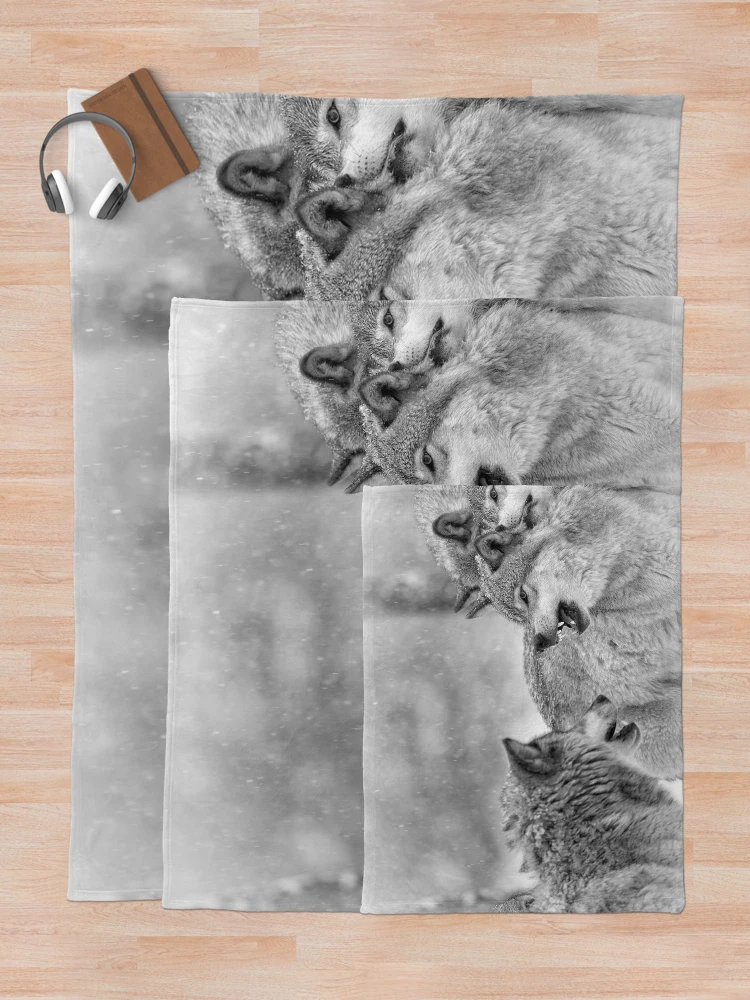 Thumbnail 5 of 6, Throw Blanket, Timber Wolves designed and sold by WolvesOnly.