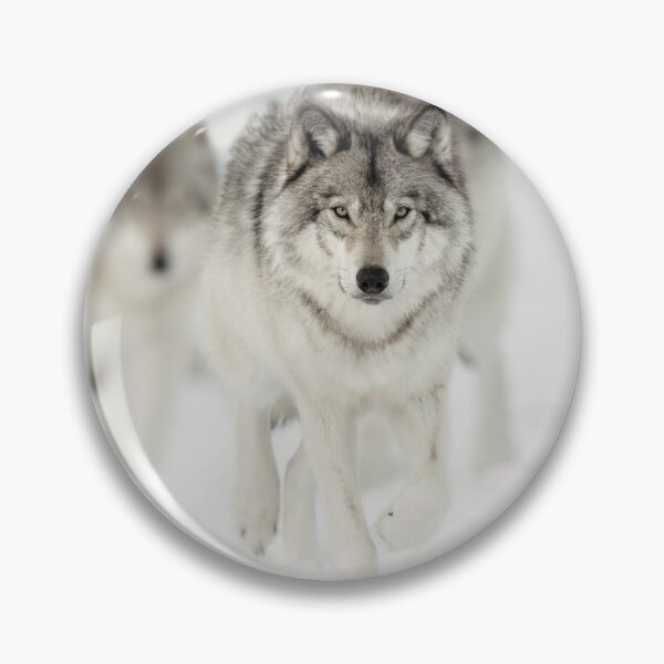 Item preview, Timber Wolves designed and sold by WolvesOnly.