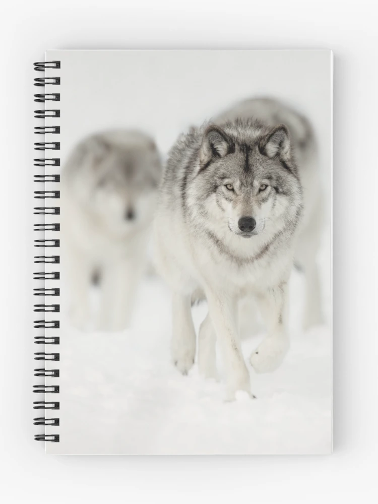 Thumbnail 1 of 3, Journal, Timber Wolves designed and sold by WolvesOnly.