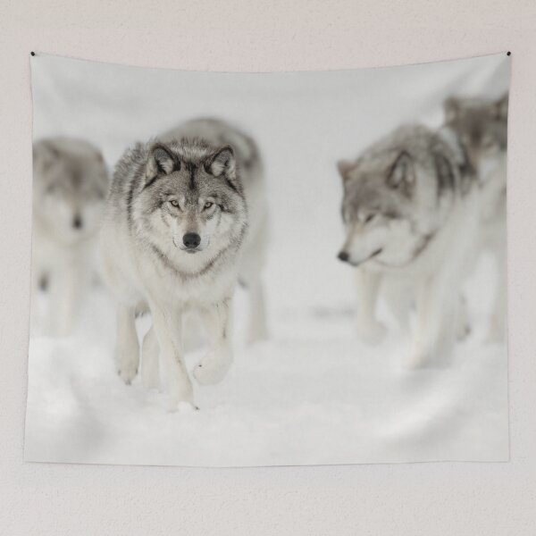 Tapestry