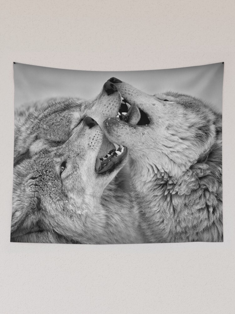 Thumbnail 2 of 3, Tapestry, Timber Wolves designed and sold by WolvesOnly.