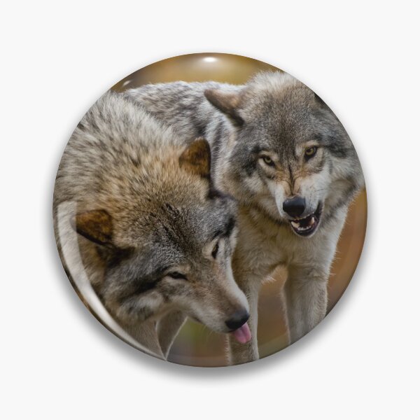 Item preview, Timber Wolves designed and sold by WolvesOnly.