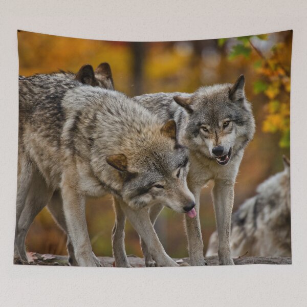 Tapestry