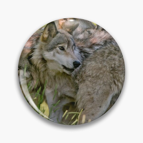 Artikelvorschau, Timber Wölfe entworfen und verkauft von WolvesOnly.