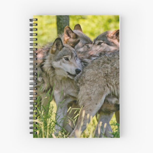 Item preview, Timber Wolves designed and sold by WolvesOnly.