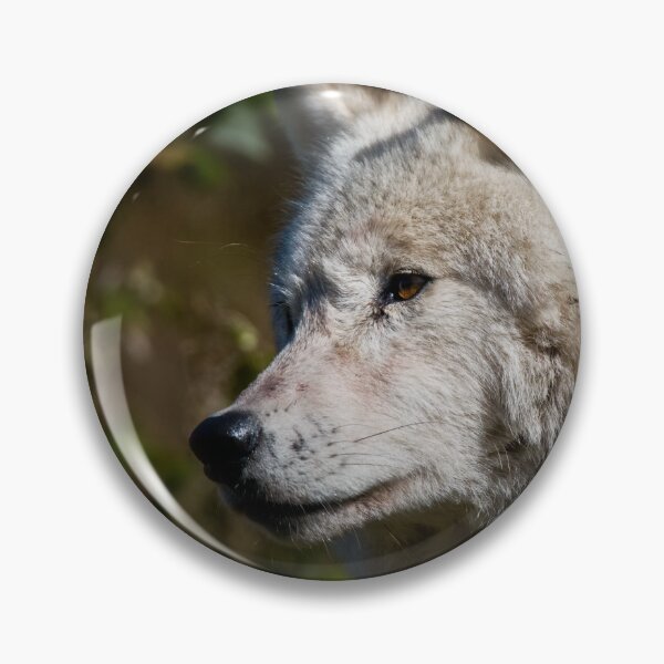 Item preview, Arctic Wolf designed and sold by WolvesOnly.