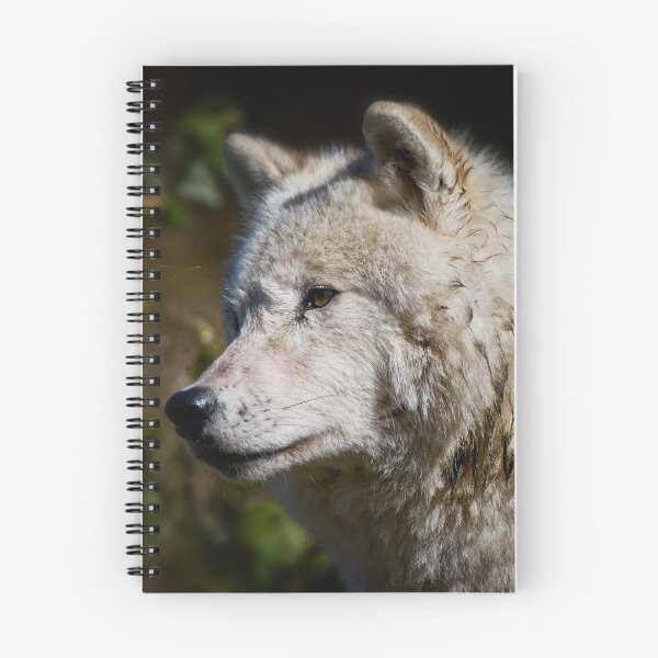 Item preview, Arctic Wolf designed and sold by WolvesOnly.
