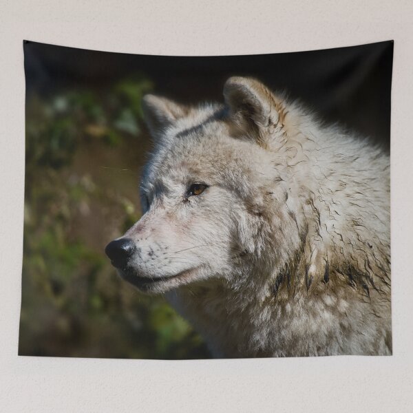 Item preview, Arctic Wolf designed and sold by WolvesOnly.