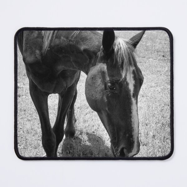 Item preview, Caballo, Evelyn Sosa designed and sold by The Sr Corchea Backroom Art.