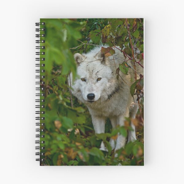 Item preview, Arctic Wolf designed and sold by WolvesOnly.