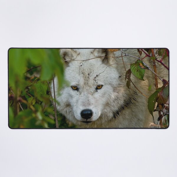 Item preview, Arctic Wolf designed and sold by WolvesOnly.