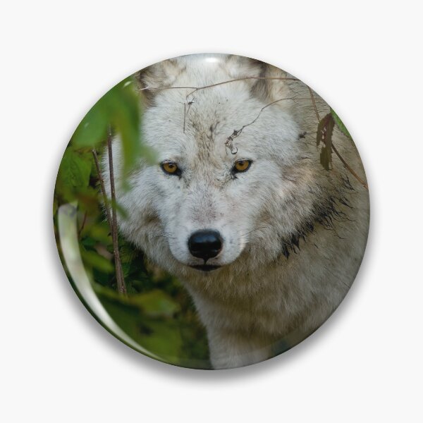 Item preview, Arctic Wolf designed and sold by WolvesOnly.