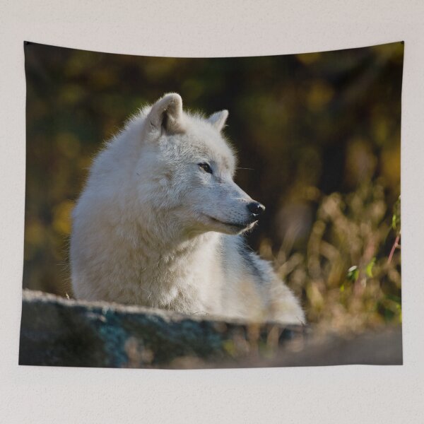 Item preview, Arctic Wolf designed and sold by WolvesOnly.