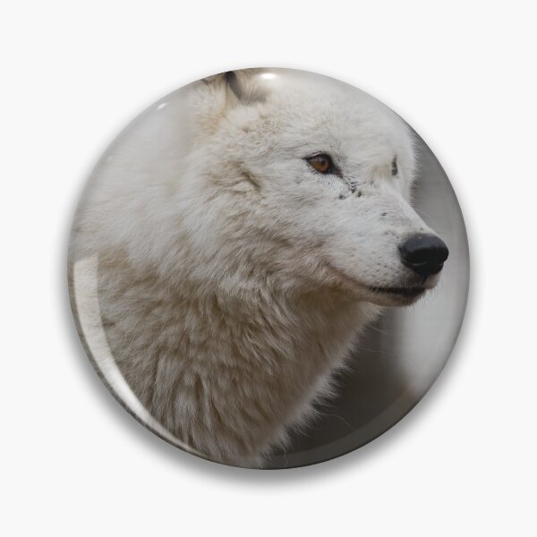 Item preview, Arctic Wolf designed and sold by WolvesOnly.